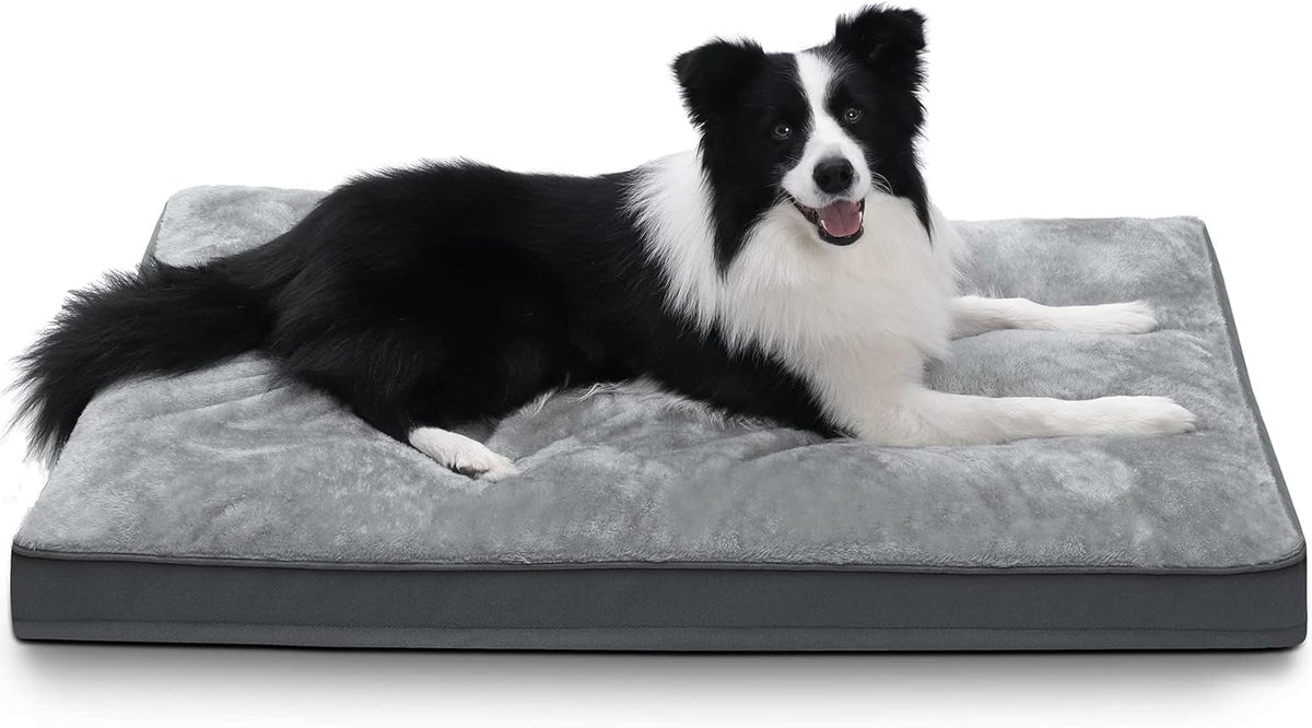 Large Plush Dog Bed with Washable Cover O25663