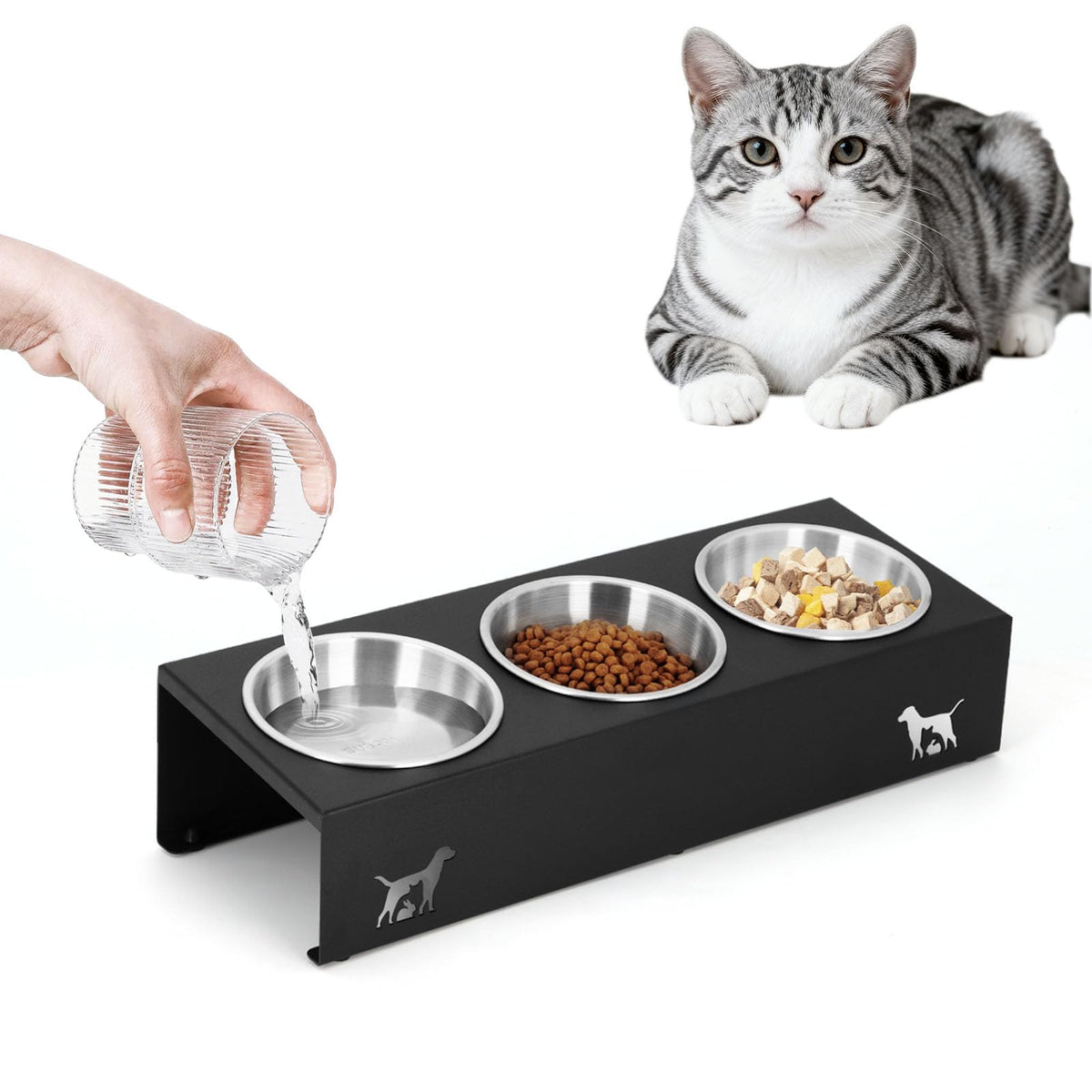 15° Tilted Stainless Steel Cat Bowls 3 Pack A614609