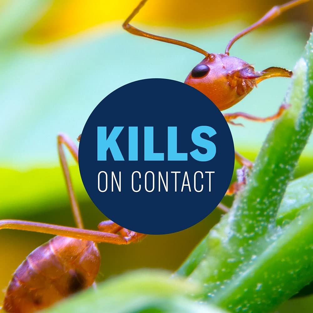24 Hour Lawn Insect & Fire Ant Killer Ready-to-Spray 32FOZ H331723