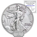 1 oz American Silver Eagle Coin P10096