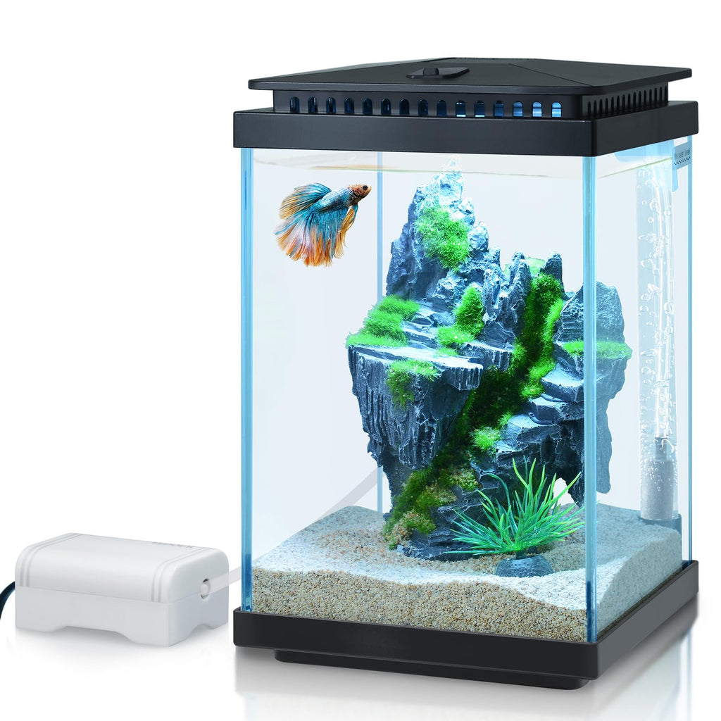 1 Gallon Small Glass Aquarium with Air Pump LED Light B92643