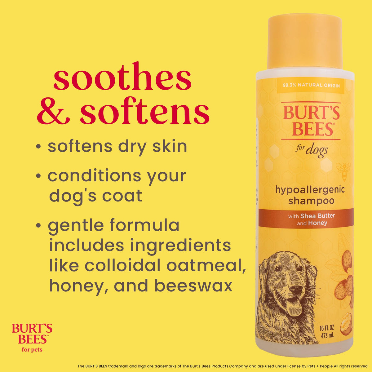 Hypoallergenic Dog Shampoo Shea Butter Honey 16 Fl Oz O488
