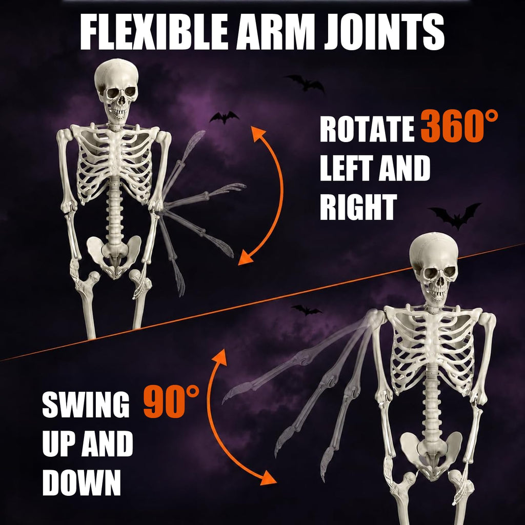 Life Size Full Body Skeleton G1593