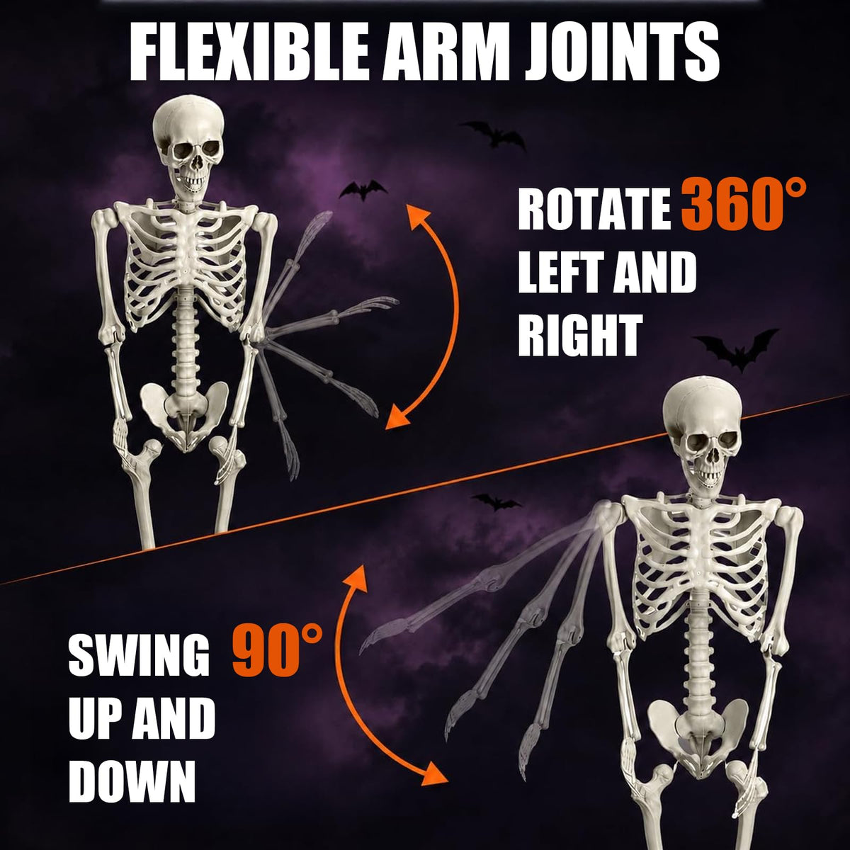 Life Size Full Body Skeleton G1593