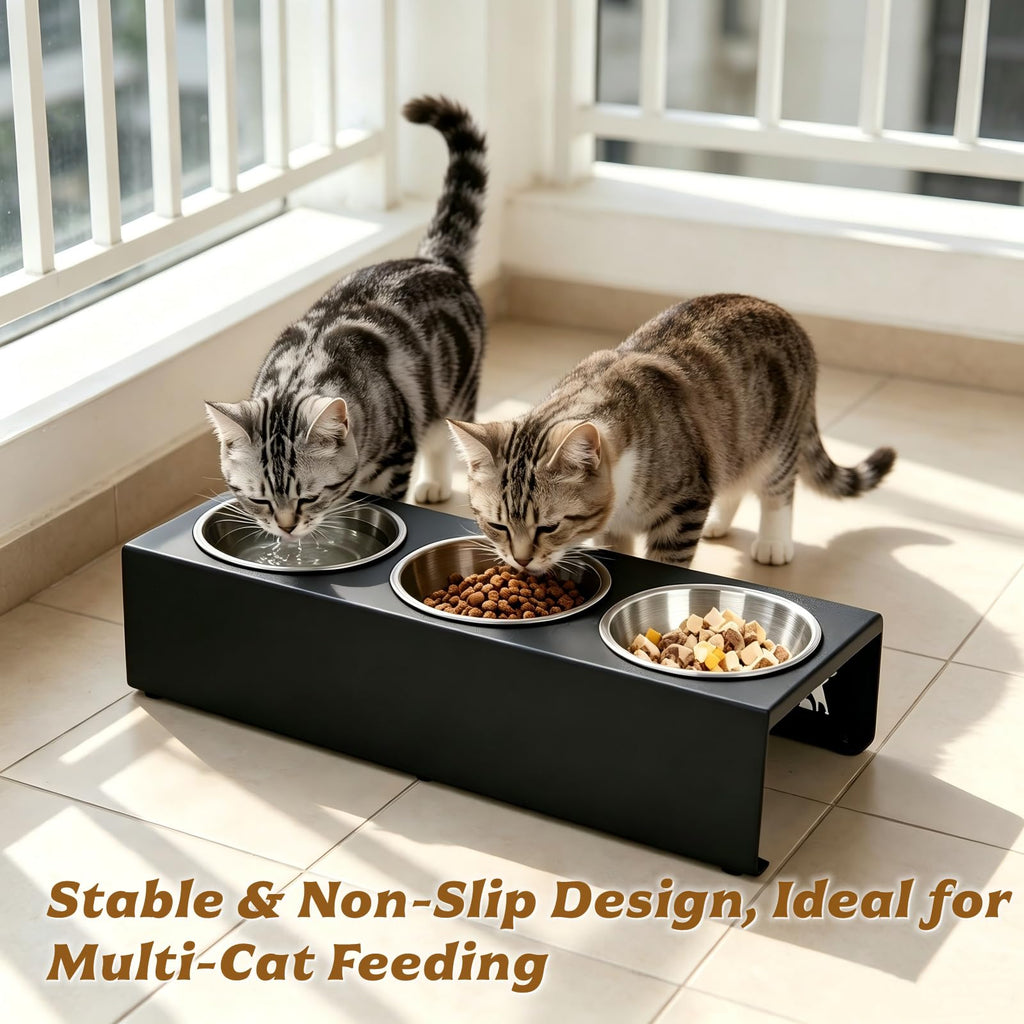 15° Tilted Stainless Steel Cat Bowls 3 Pack A614609