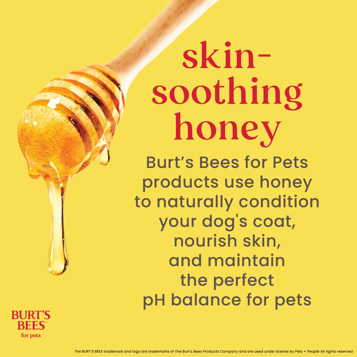 Hypoallergenic Dog Shampoo Shea Butter Honey 16 Fl Oz O488