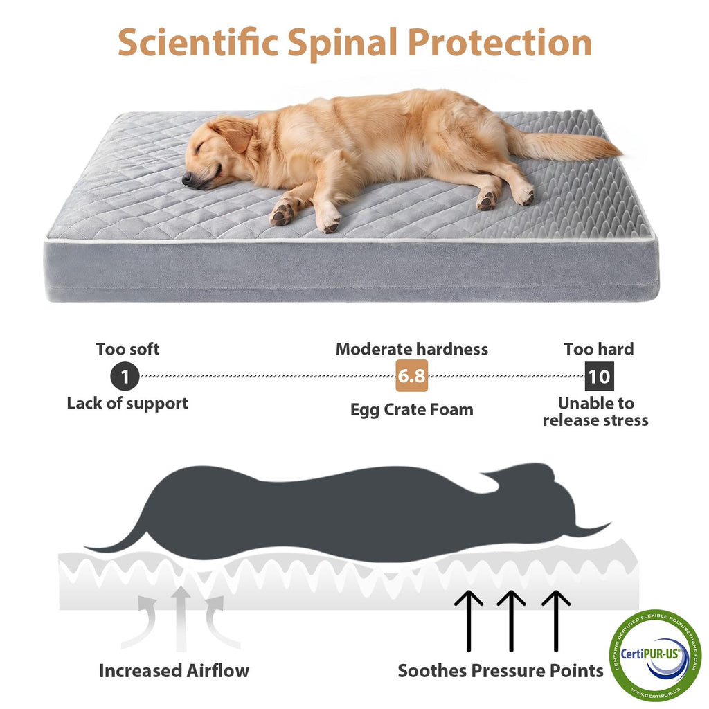 Waterproof Extra Large Orthopedic Dog Bed Y620