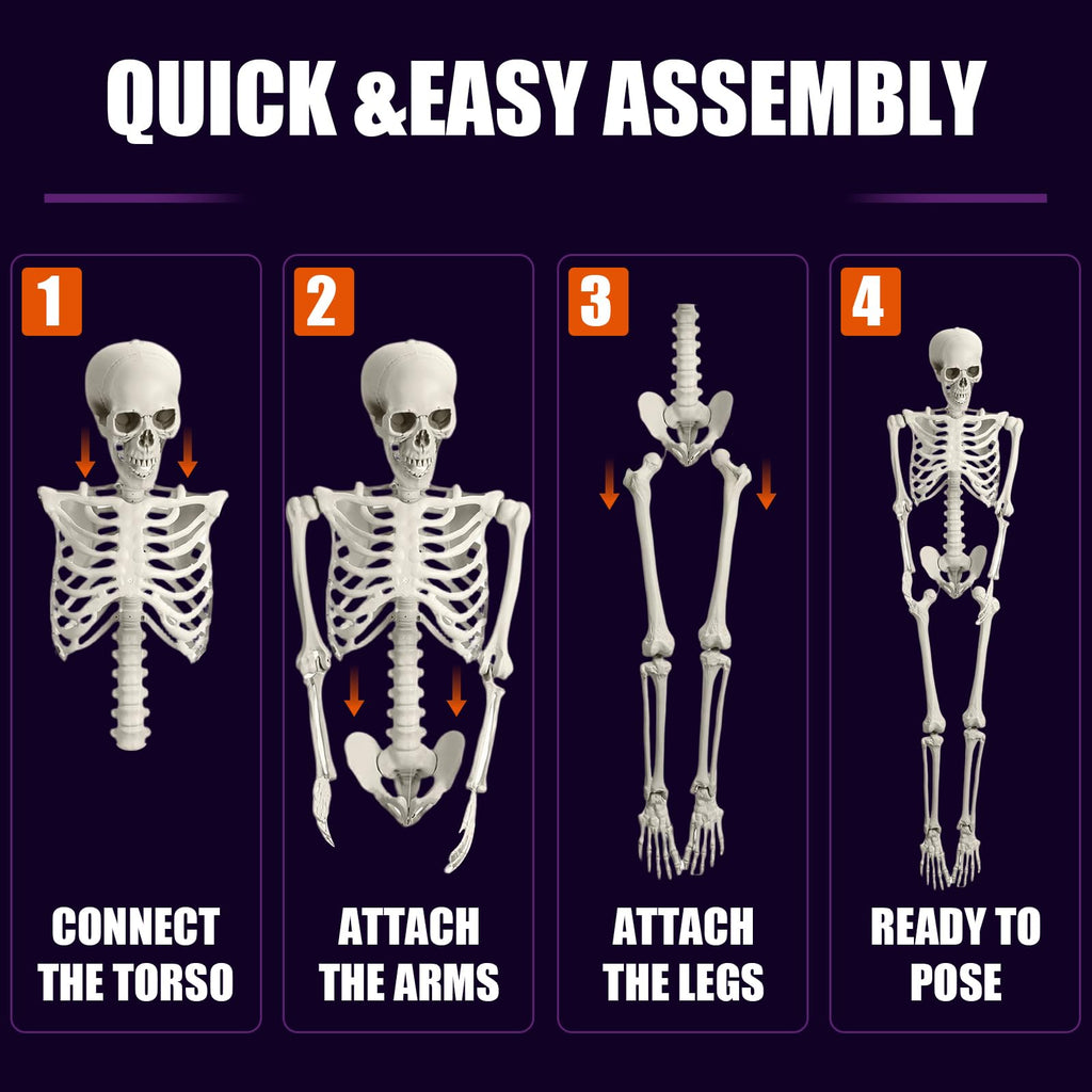 Life Size Full Body Skeleton G1593