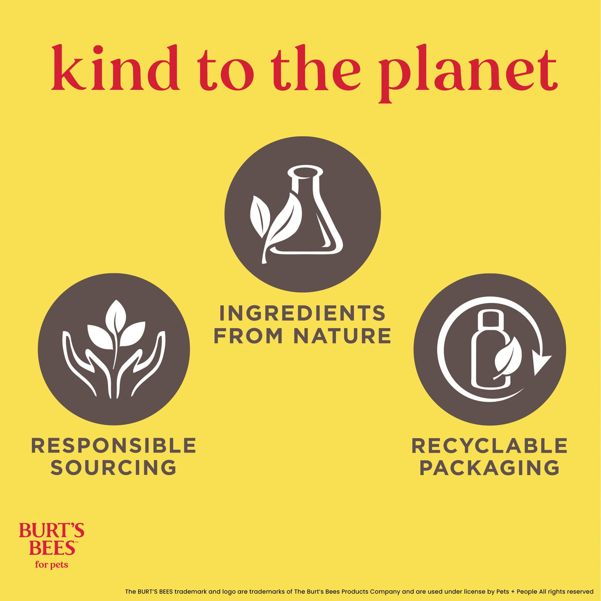 Hypoallergenic Dog Shampoo Shea Butter Honey 16 Fl Oz O488