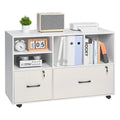 White 2 Drawer Wooden Lockable Mobile File Cabinet P84268