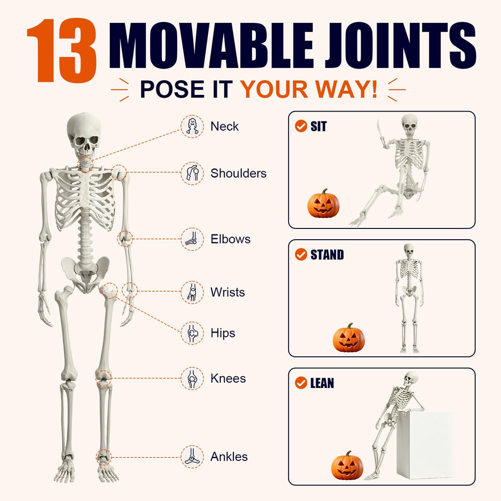 Life Size Full Body Skeleton G1593