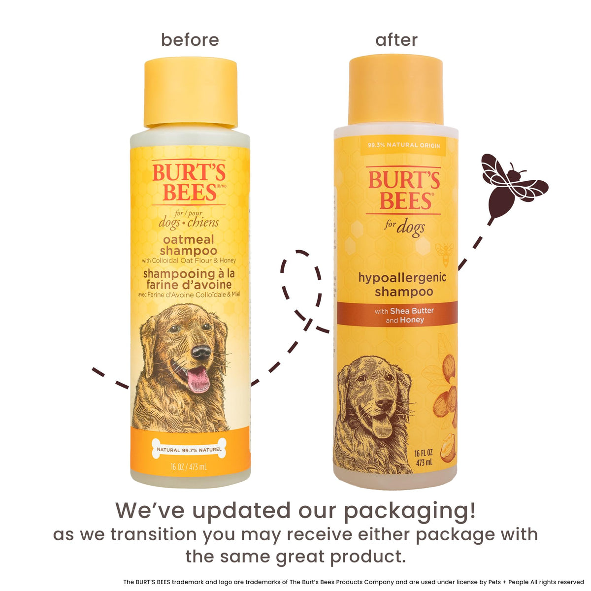 Hypoallergenic Dog Shampoo Shea Butter Honey 16 Fl Oz O488