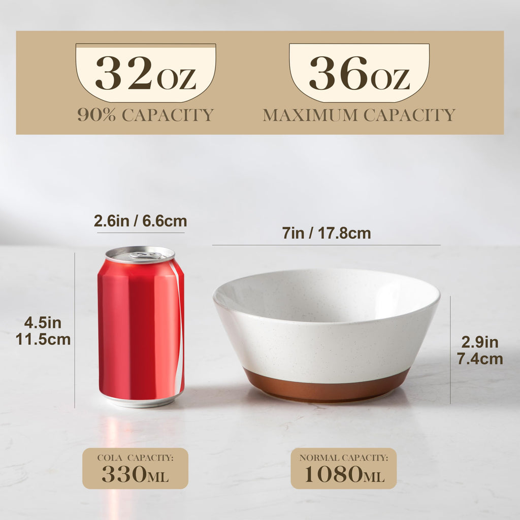 Ceramic Soup Bowls Set of 4 N162