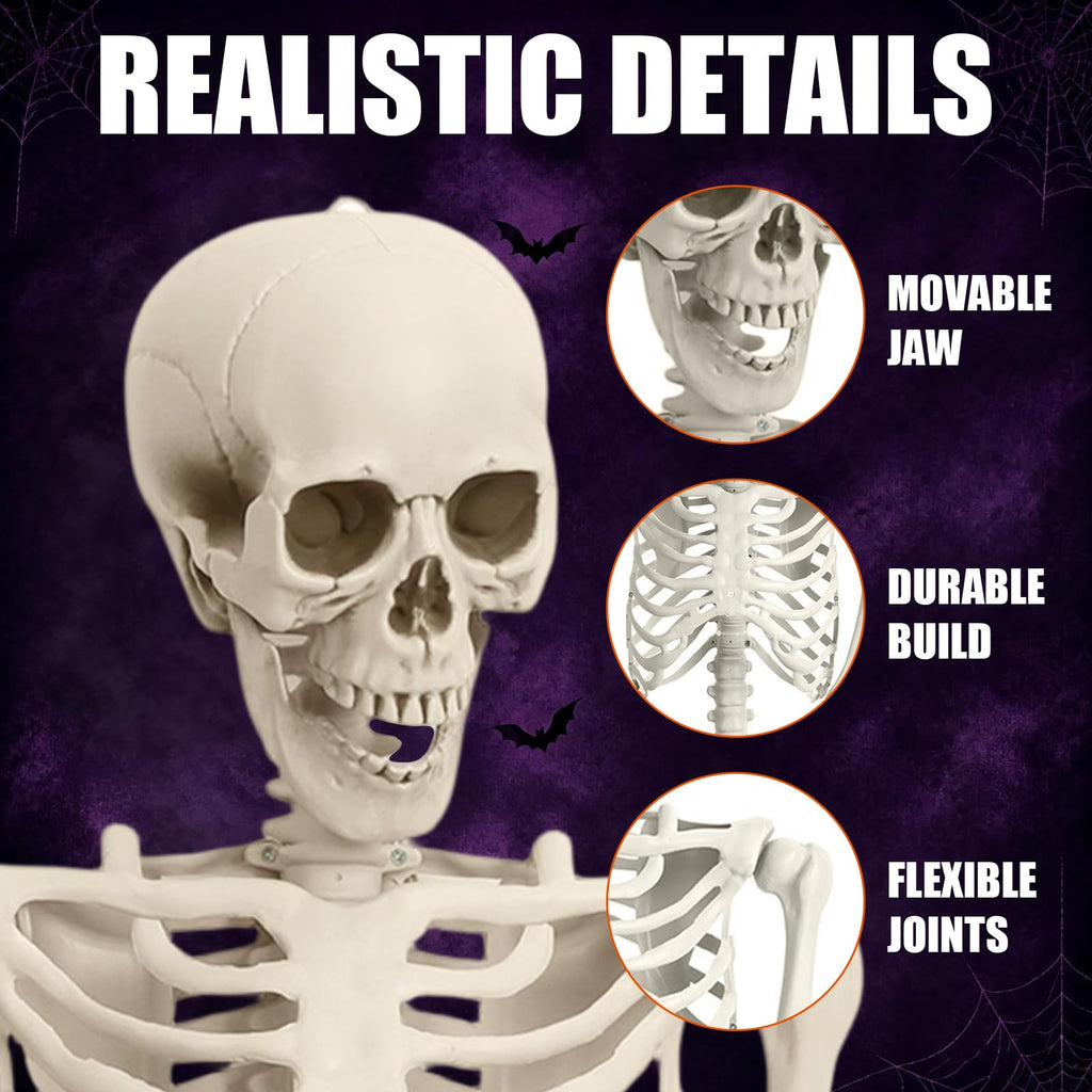 Life Size Full Body Skeleton G1593