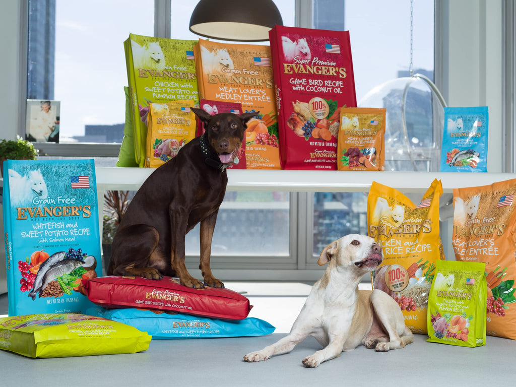 Grain-Free Chicken Sweet Potato Pumpkin Dry Dog Food 16.5 lbs U58162