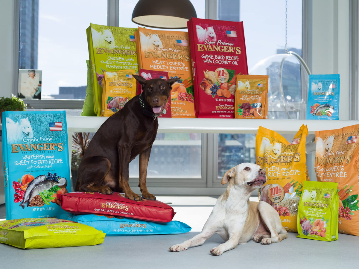 Grain-Free Chicken Sweet Potato Pumpkin Dry Dog Food 16.5 lbs U58162