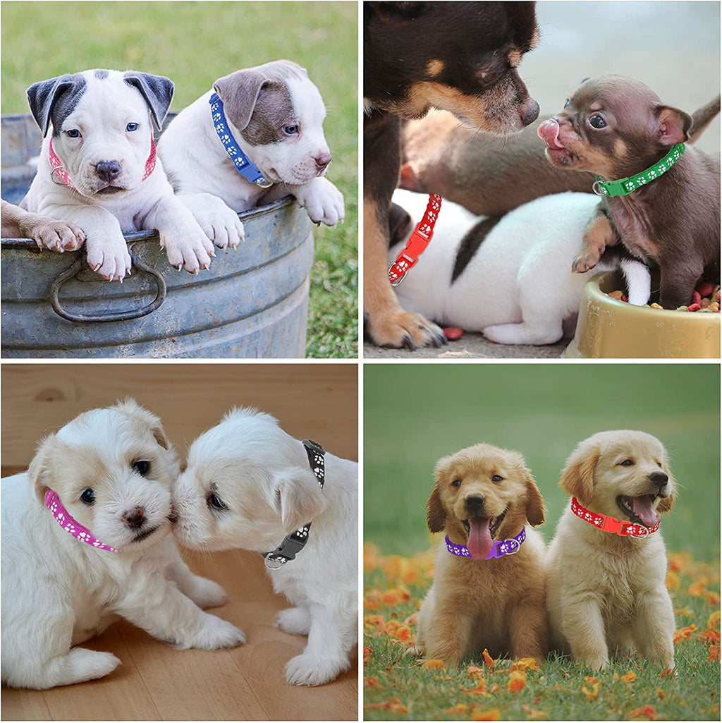 12 Pack Adjustable Puppy Collars F848