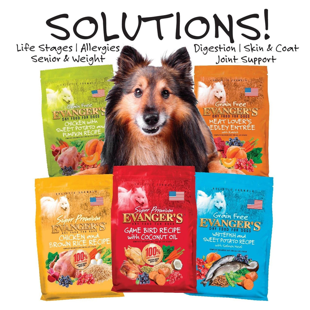 Grain-Free Chicken Sweet Potato Pumpkin Dry Dog Food 16.5 lbs U58162