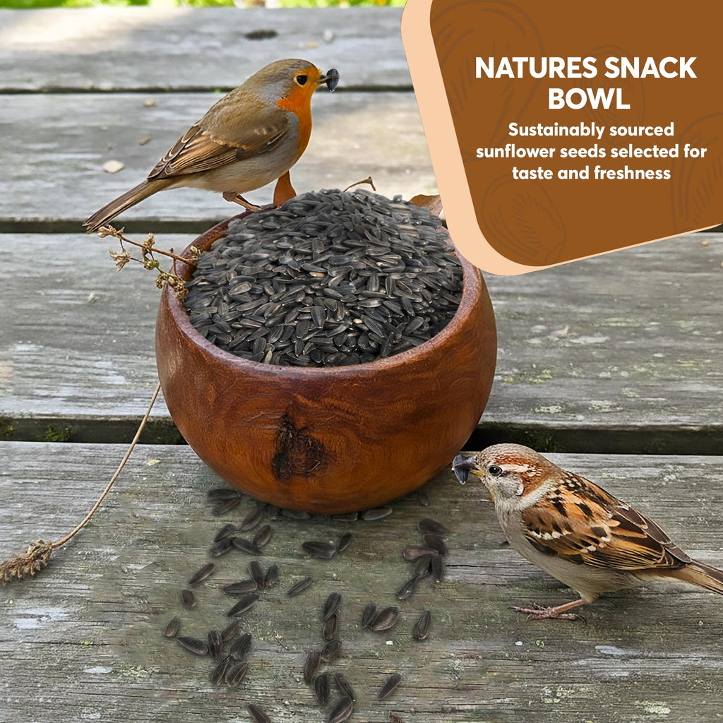 Black Oil Sunflower Seeds for Birds V227508