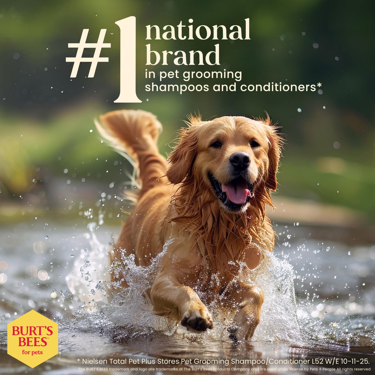 Hypoallergenic Dog Shampoo Shea Butter Honey 16 Fl Oz O488