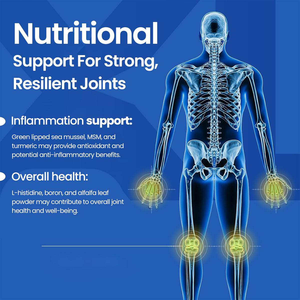 Joint Support Supplement 60 Tablets K2130