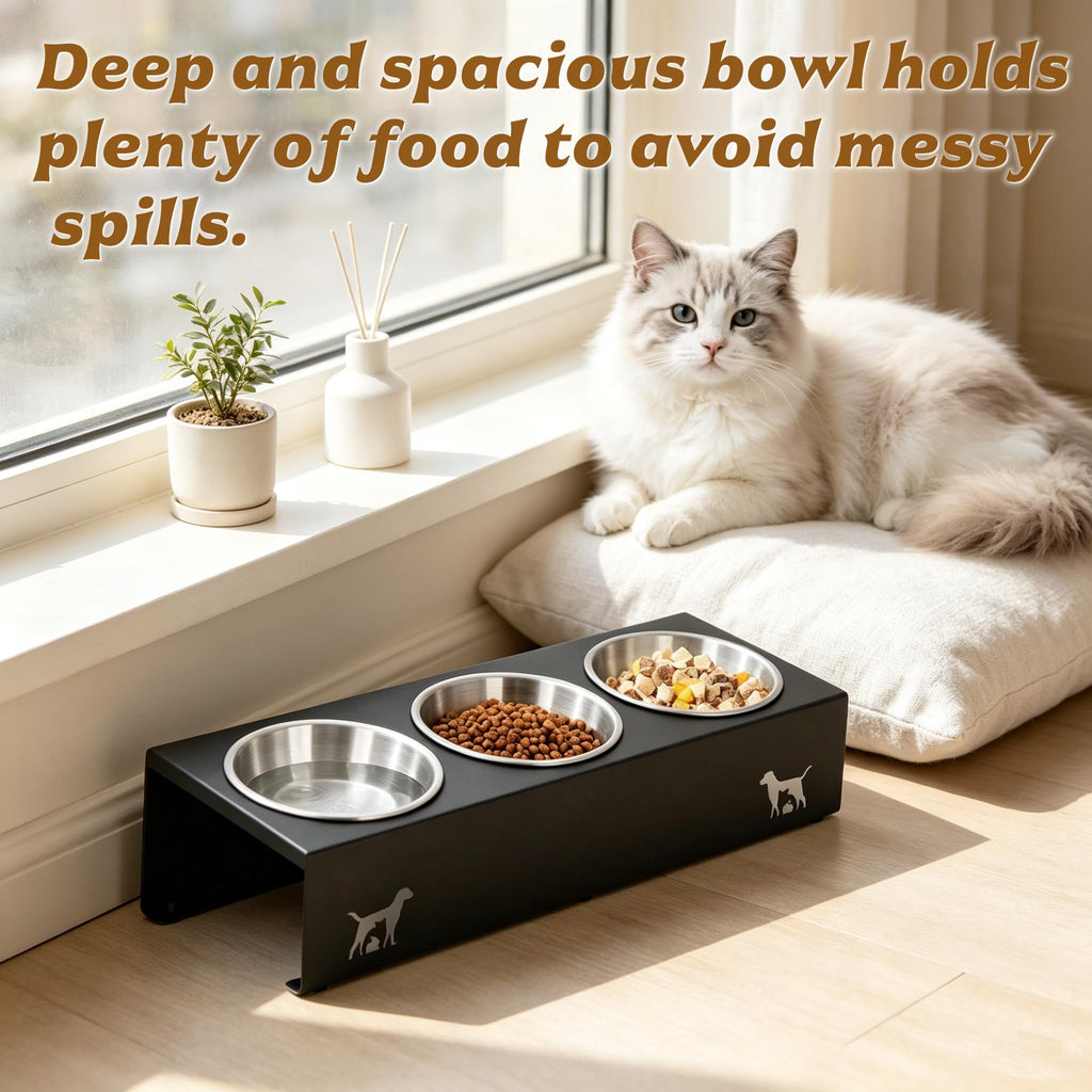 15° Tilted Stainless Steel Cat Bowls 3 Pack A614609
