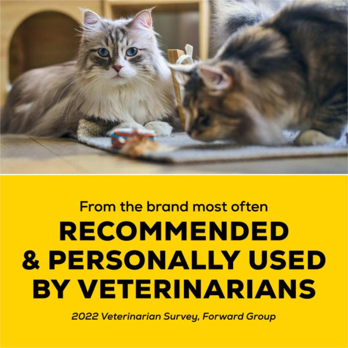 22 lb. Cat Litter P784781