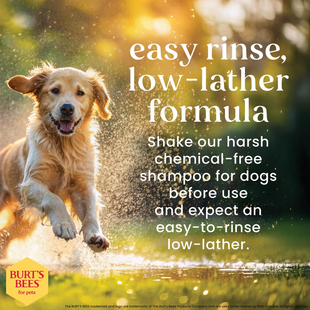 Hypoallergenic Dog Shampoo Shea Butter Honey 16 Fl Oz O488