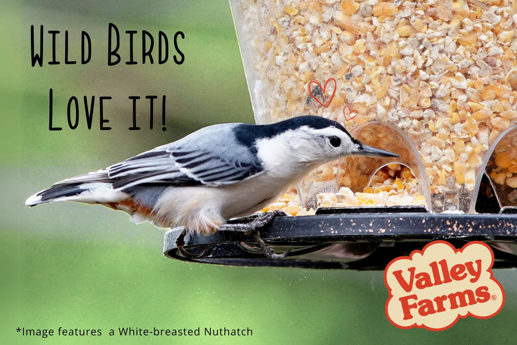 Cracked Corn Wild Bird Food 20 LB H420