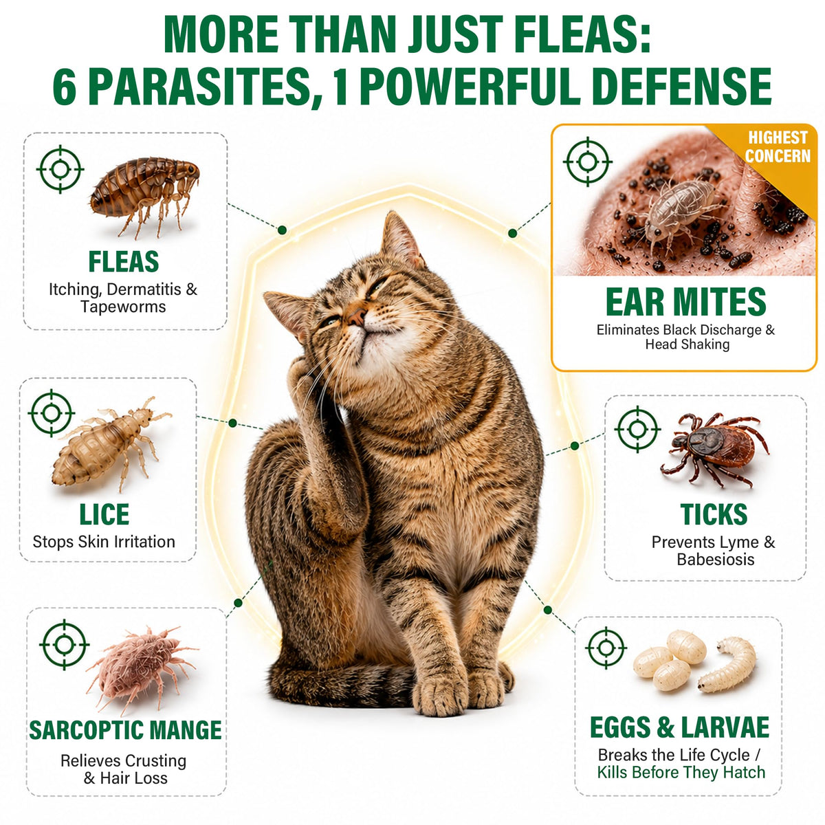 Flea and Tick Drops for Cats 6 Pack E7559