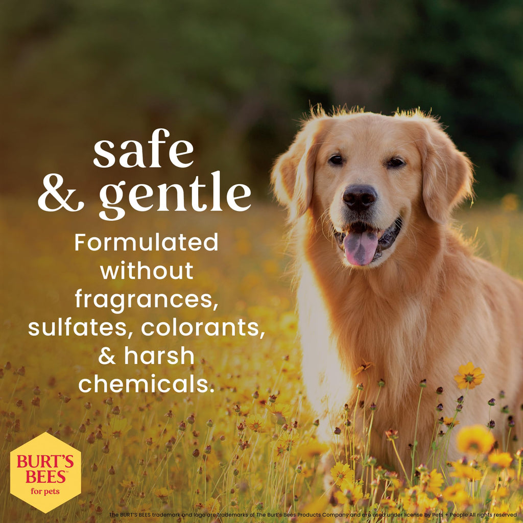 Hypoallergenic Dog Shampoo Shea Butter Honey 16 Fl Oz O488