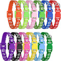 12 Pack Adjustable Puppy Collars F848