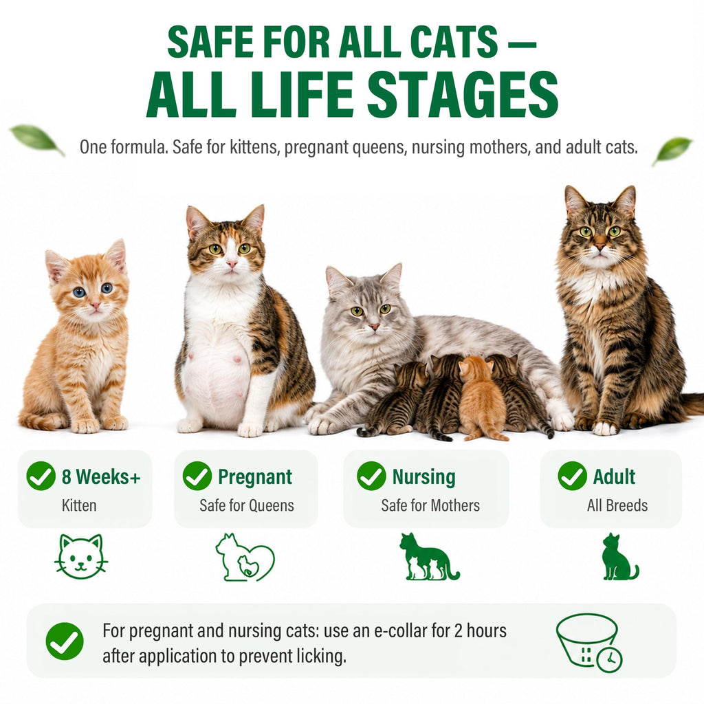 Flea and Tick Drops for Cats 6 Pack E7559