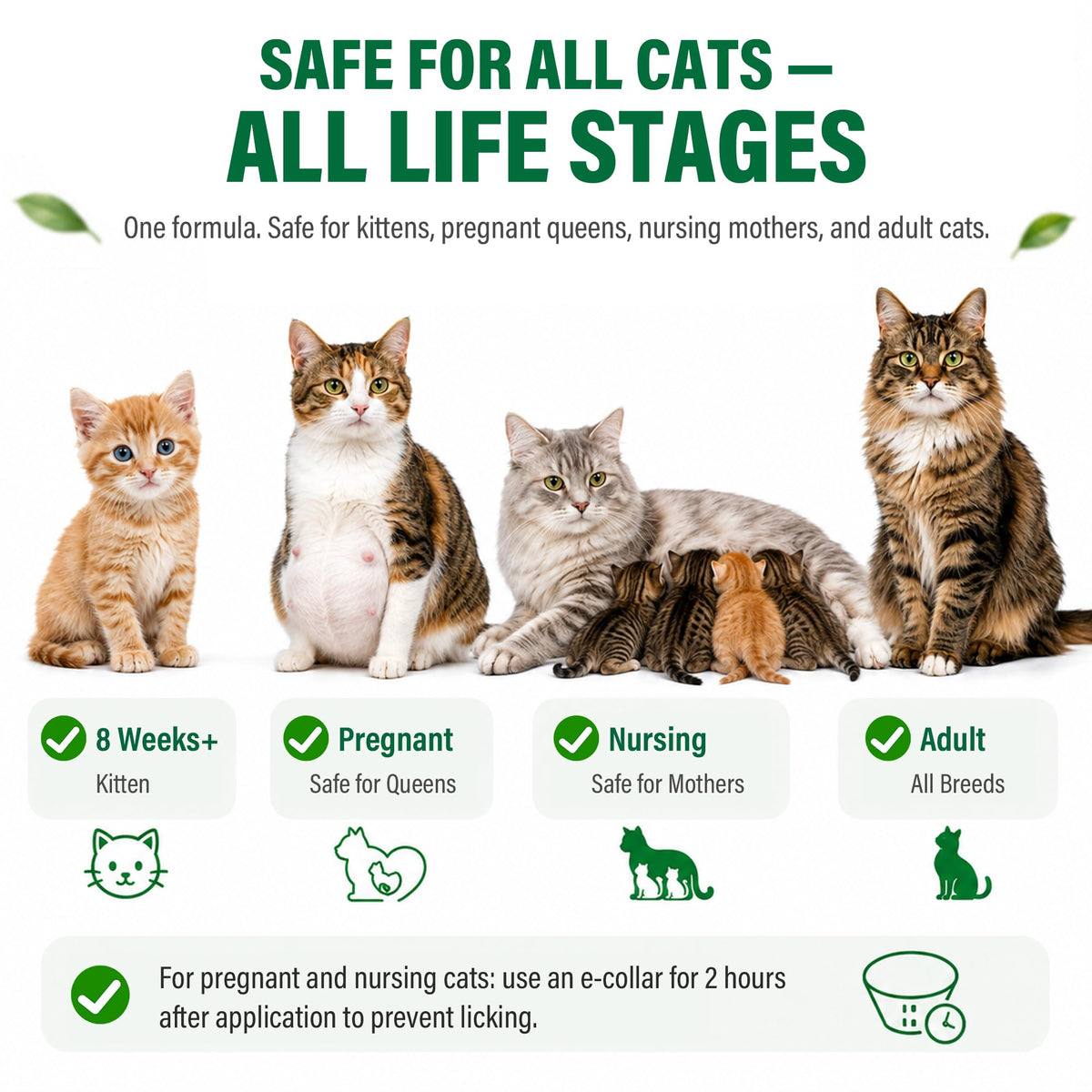 Flea and Tick Drops for Cats 6 Pack E7559
