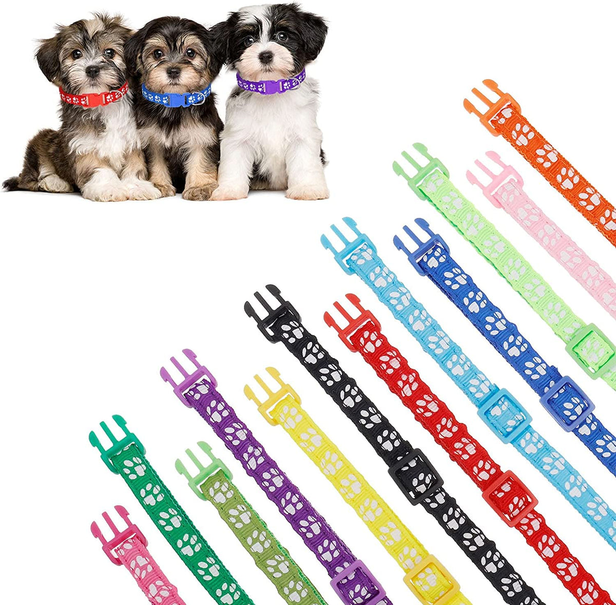 12 Pack Adjustable Puppy Collars F848