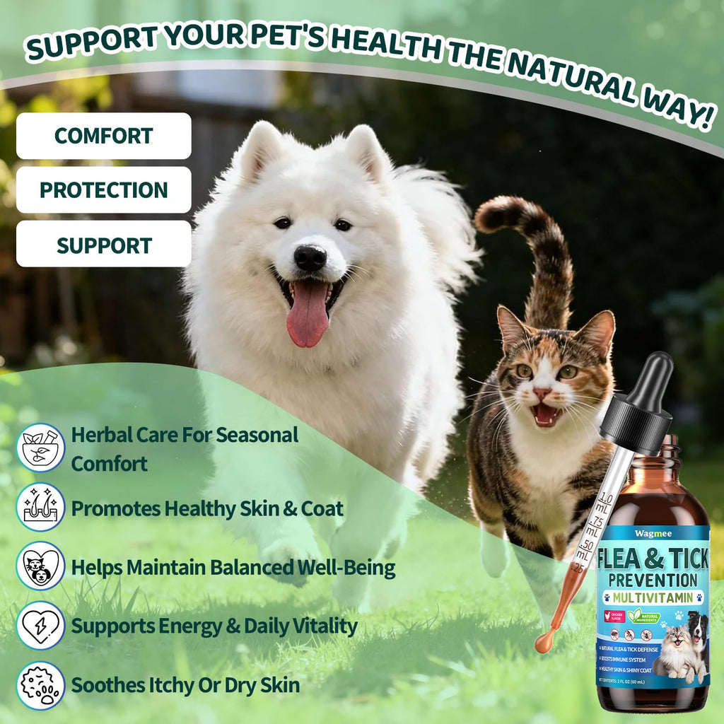 Flea and Tick Prevention for Dogs & Cats I584494