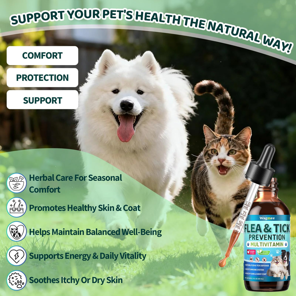 Flea and Tick Prevention for Dogs & Cats I584494