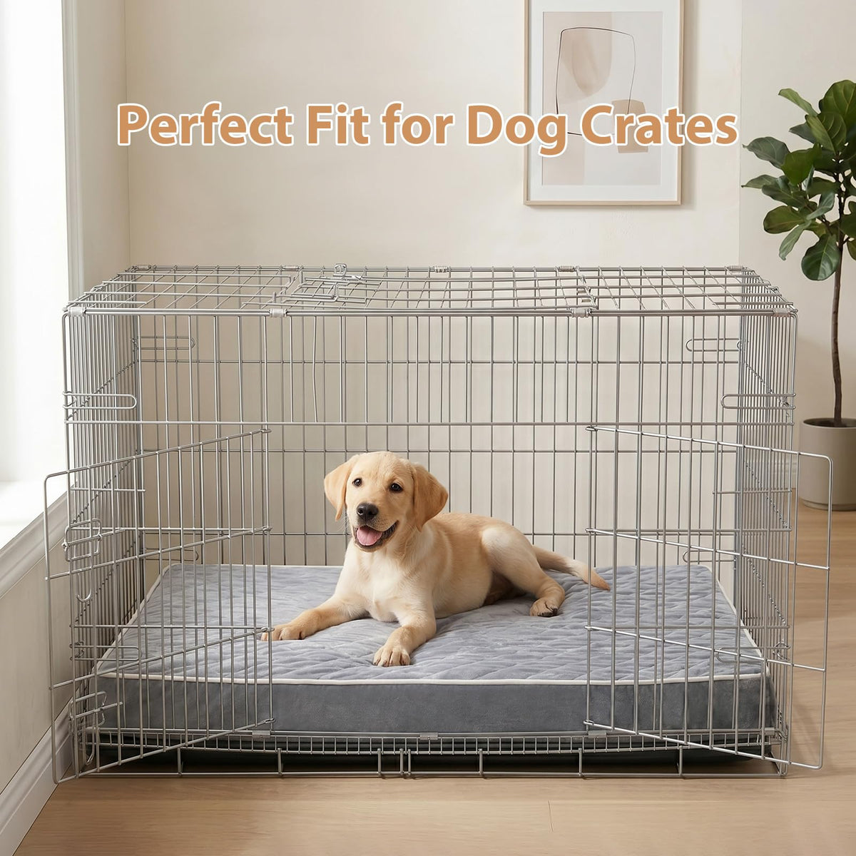 Waterproof Extra Large Orthopedic Dog Bed Y620