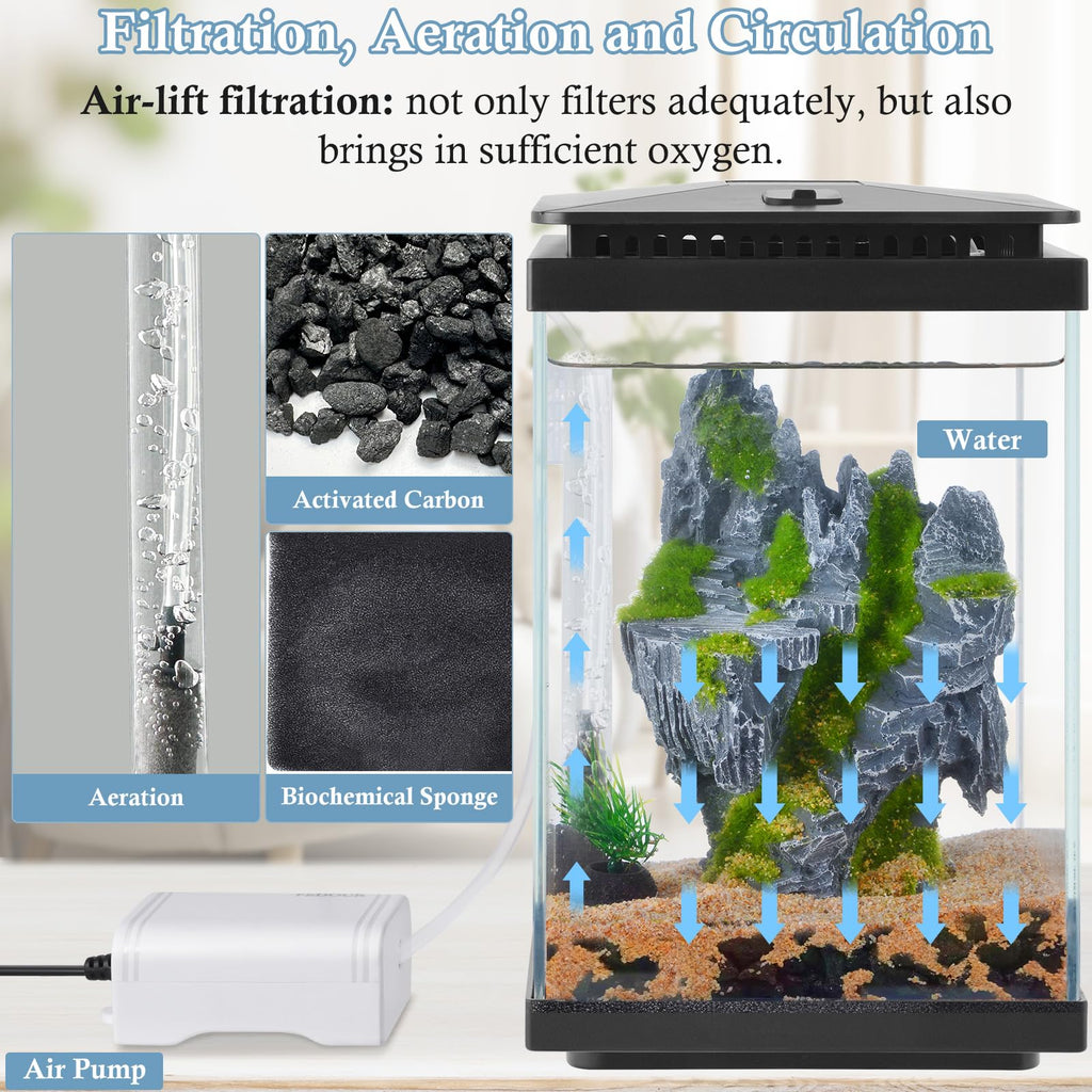 1 Gallon Small Glass Aquarium with Air Pump LED Light B92643