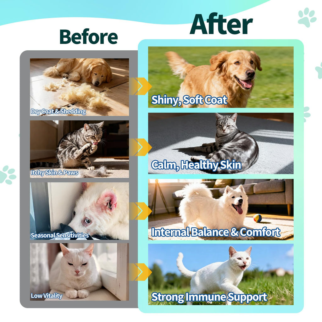 Flea and Tick Prevention for Dogs & Cats I584494