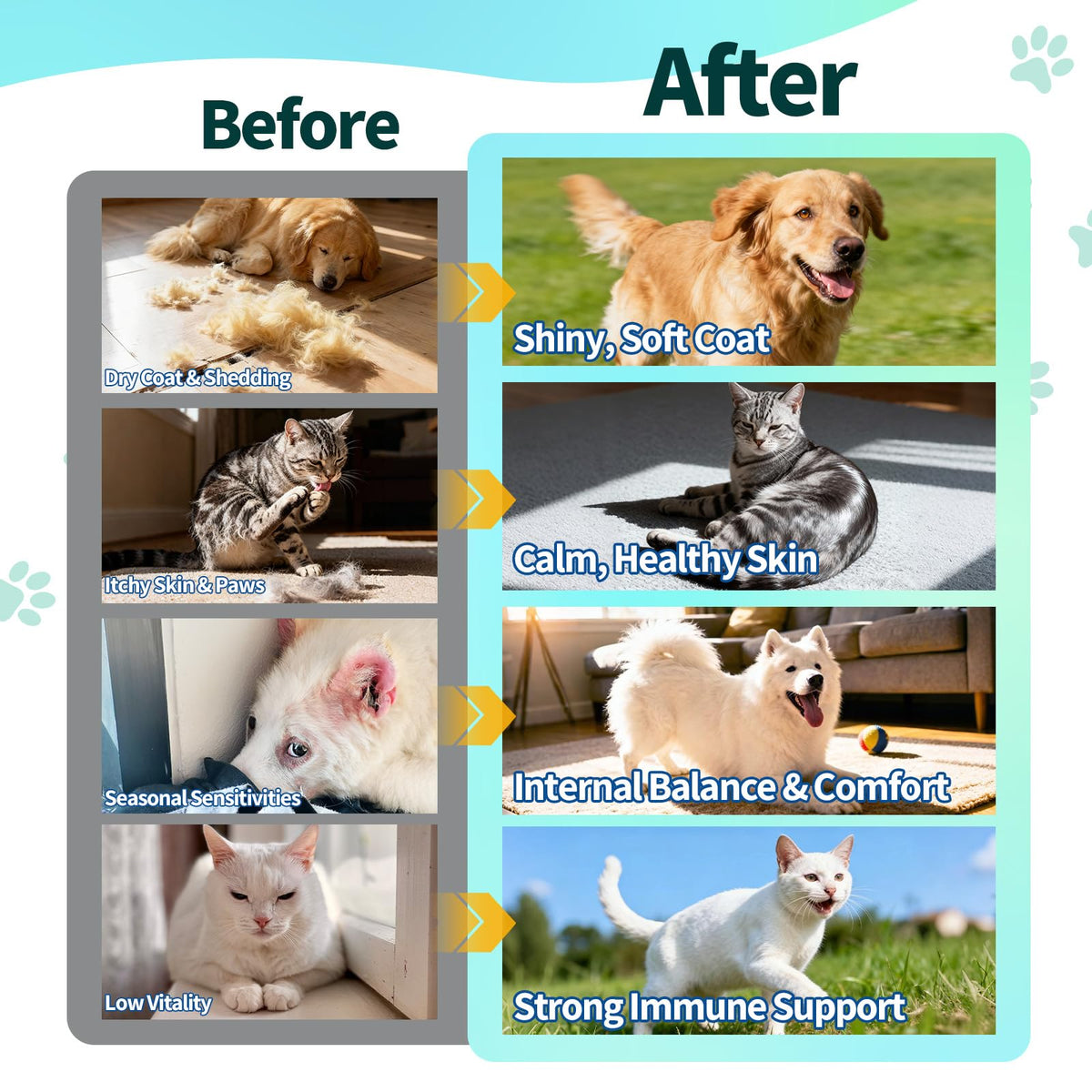 Flea and Tick Prevention for Dogs & Cats I584494