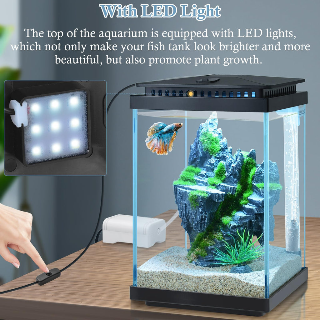1 Gallon Small Glass Aquarium with Air Pump LED Light B92643