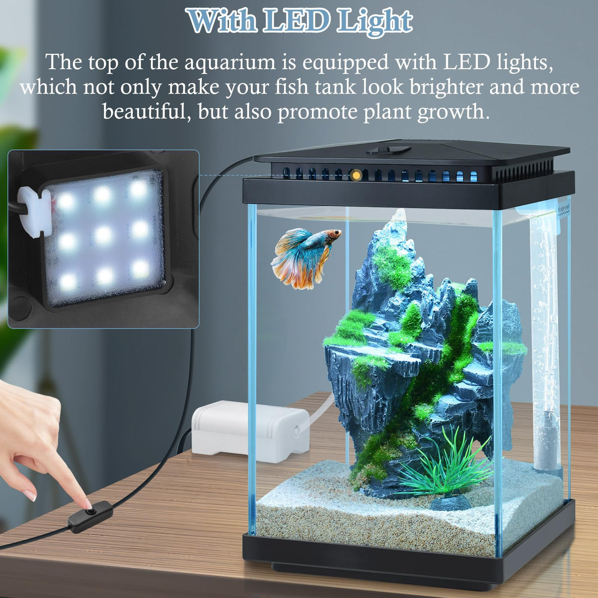 1 Gallon Small Glass Aquarium with Air Pump LED Light B92643